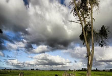 德国选手出类拔萃，披荆斩棘奋勇争先