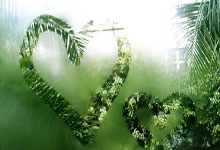 揭开悬念，胜负之间存有无数变数！